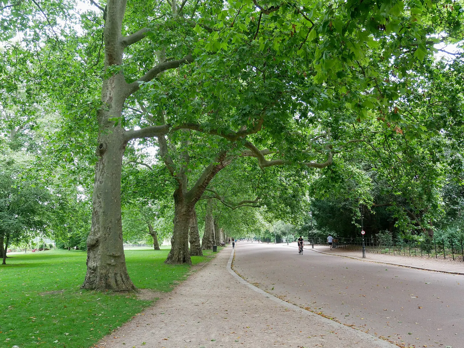 รูปตัวอย่าง · Path along the Northern Part of Battersea Park โดย Ethan Doyle White (CC BY-SA 4.0) จาก Wikimedia Commons
